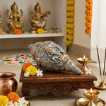 Shankh