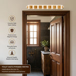 Toilet Vastu Pyramid Yantra