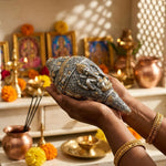 Shankh